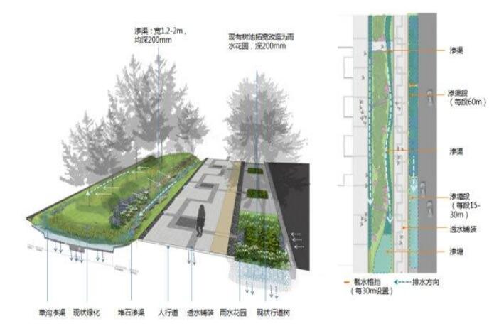 十堰恐龍化工介紹海綿城市道路施工結(jié)構(gòu)圖！請看下文